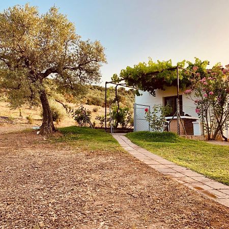 Casa Rural Arroyo Marco Guadalcanal Exteriör bild